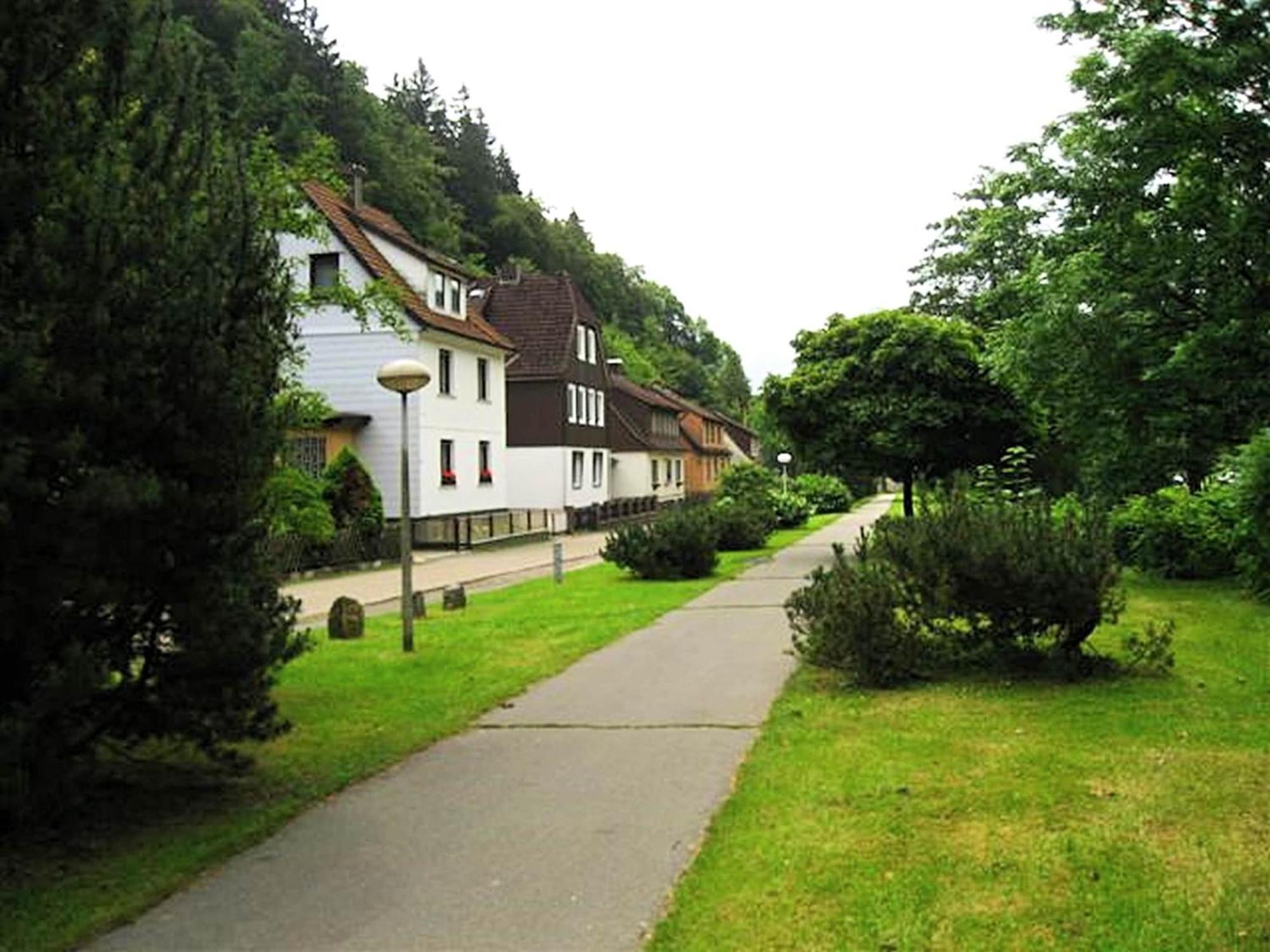 Spacious Group House In The Harz Region Zorge المظهر الخارجي الصورة