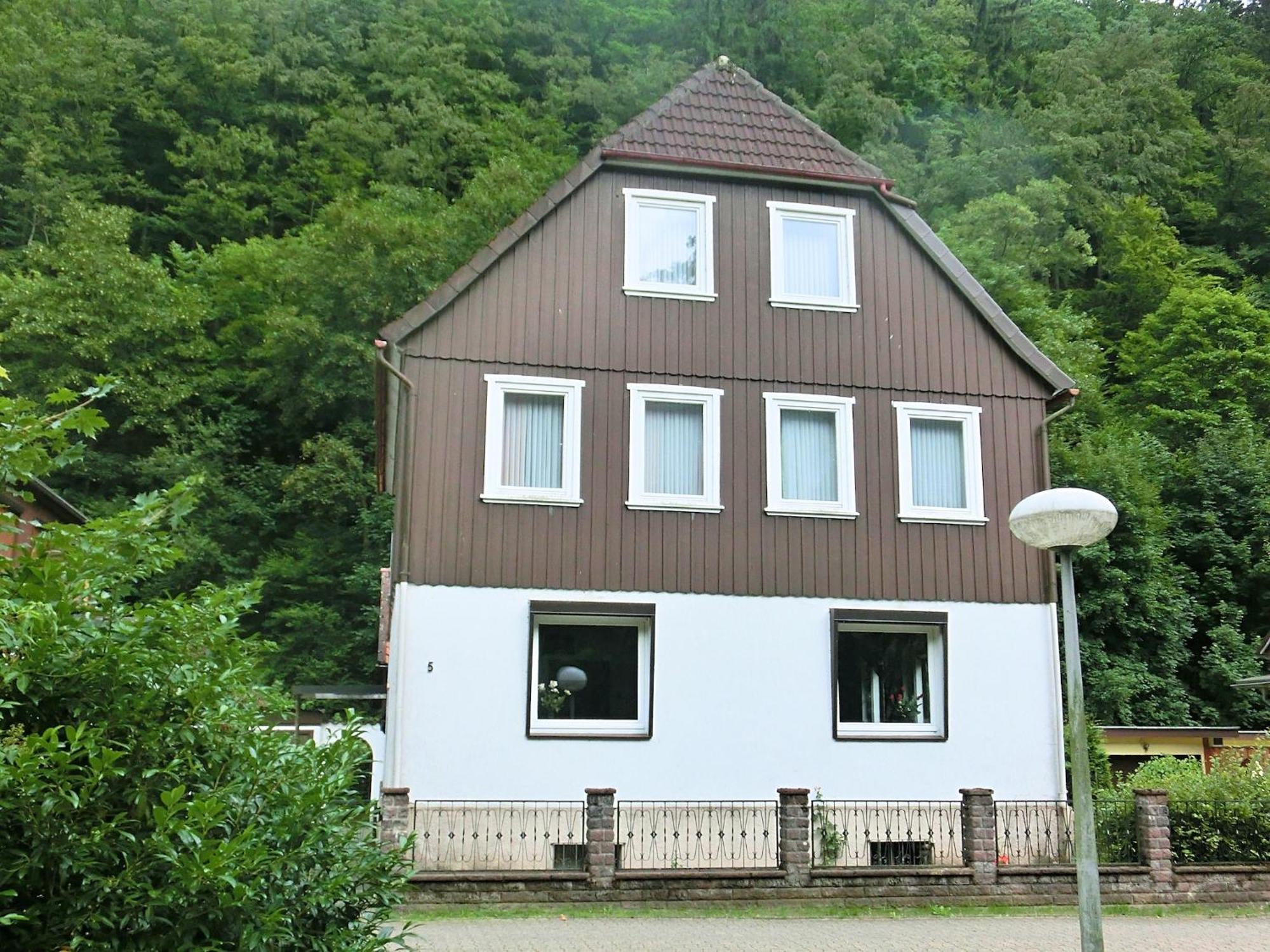 Spacious Group House In The Harz Region Zorge المظهر الخارجي الصورة